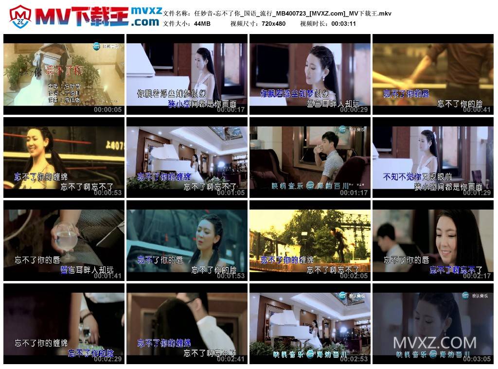 任妙音-忘不了你_国语_流行_MB400723